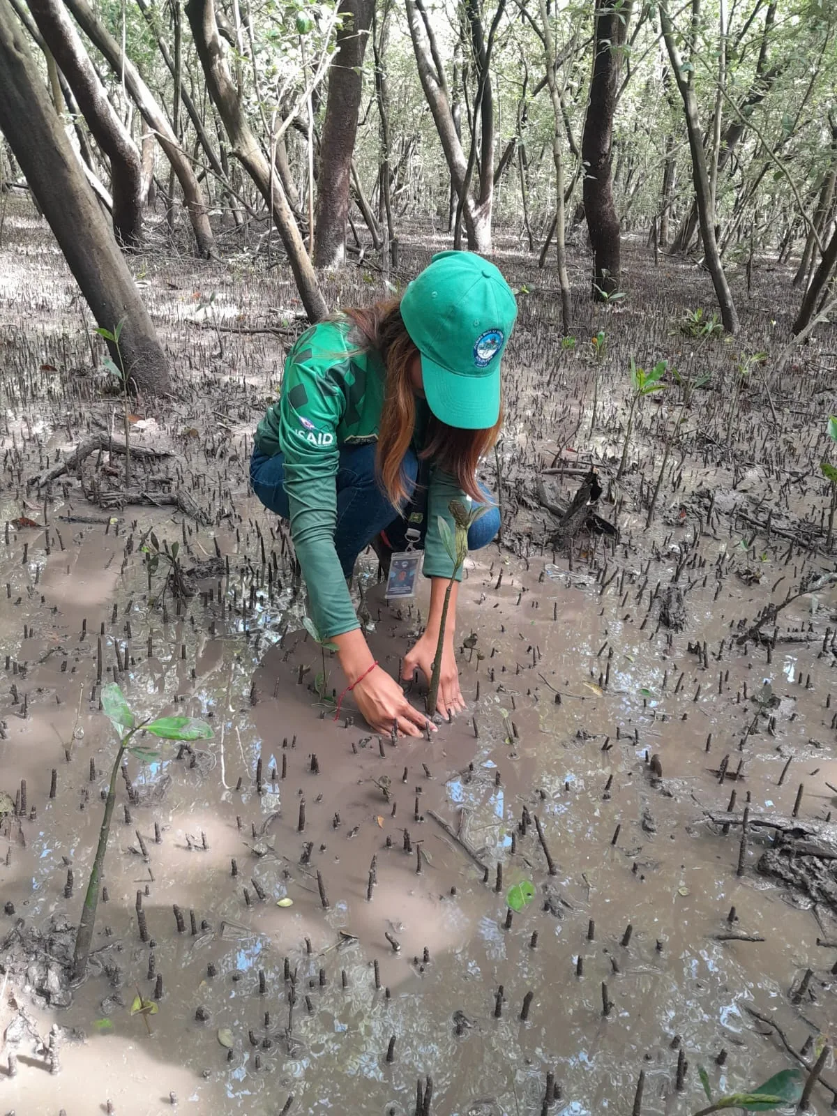 Programas y Proyectos