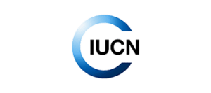 uicnnew